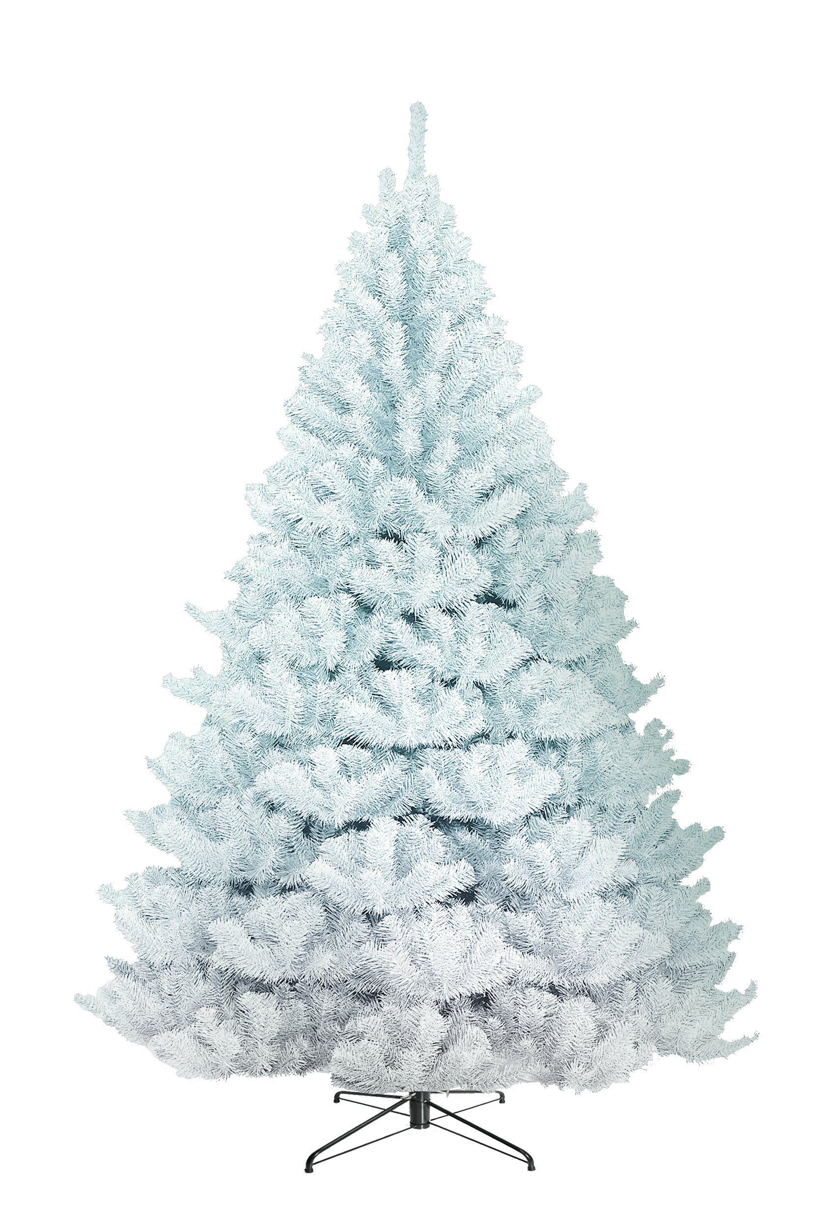 Albero bianco Zar della Steppa 2 mt apertura rami ad ombrello