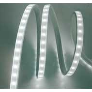 Striscia LED 220V IP65 8W/mt 6500°K bobina 10mt prezzo al mt
