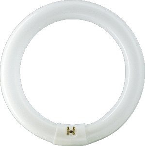 LAMPADA CIRCOLARE LUCE CALDA 83-3000K G10Q 40W