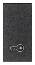 TASTO 1M SIMBOLO CHIAVE GRIGIO
