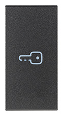TASTO 1M SIMBOLO CHIAVE ASSIALE GRIGIO
