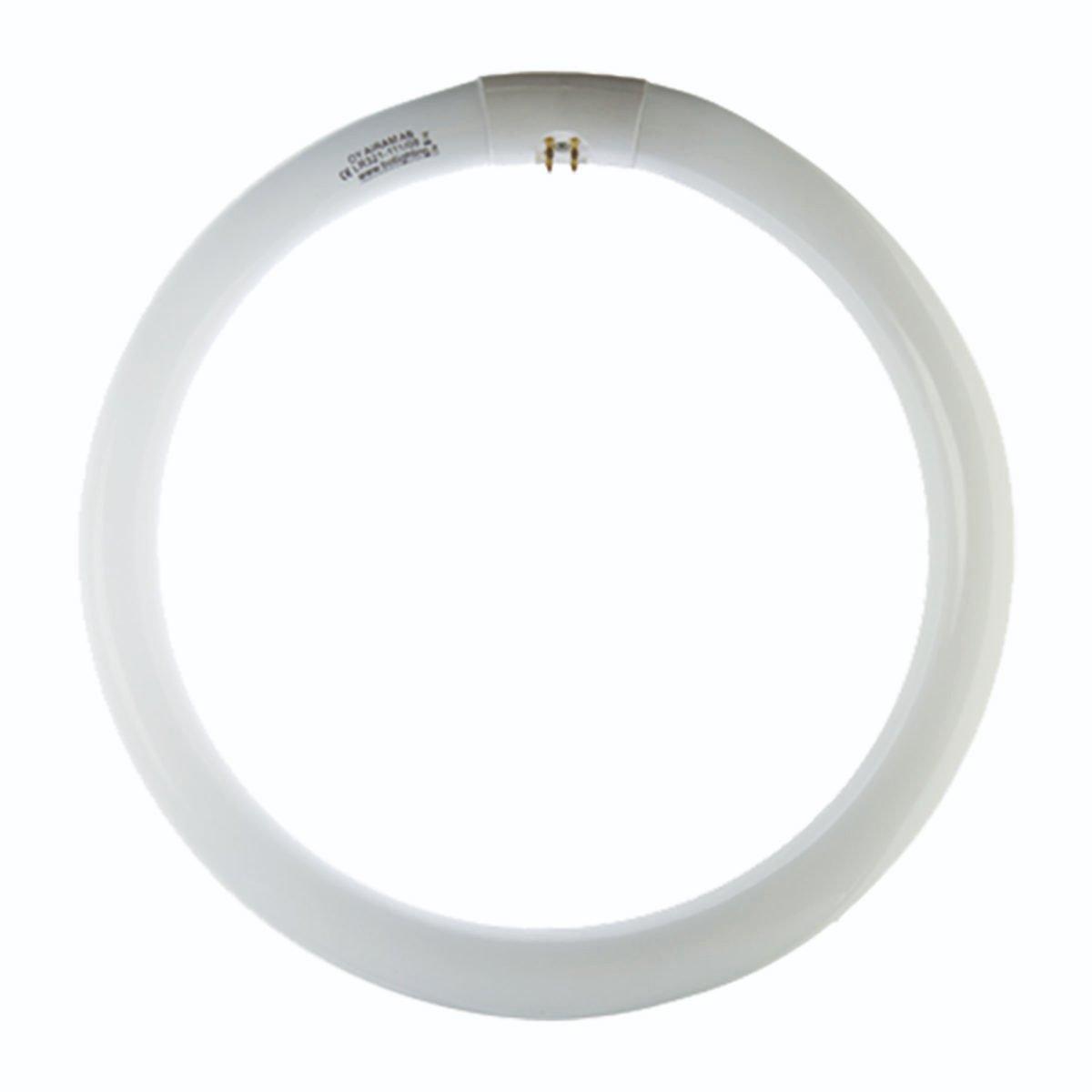 Circolina neon 32W luce 86 6500°K G10Q
