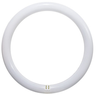 Circolina neon 22W luce 86 6500°K G10Q