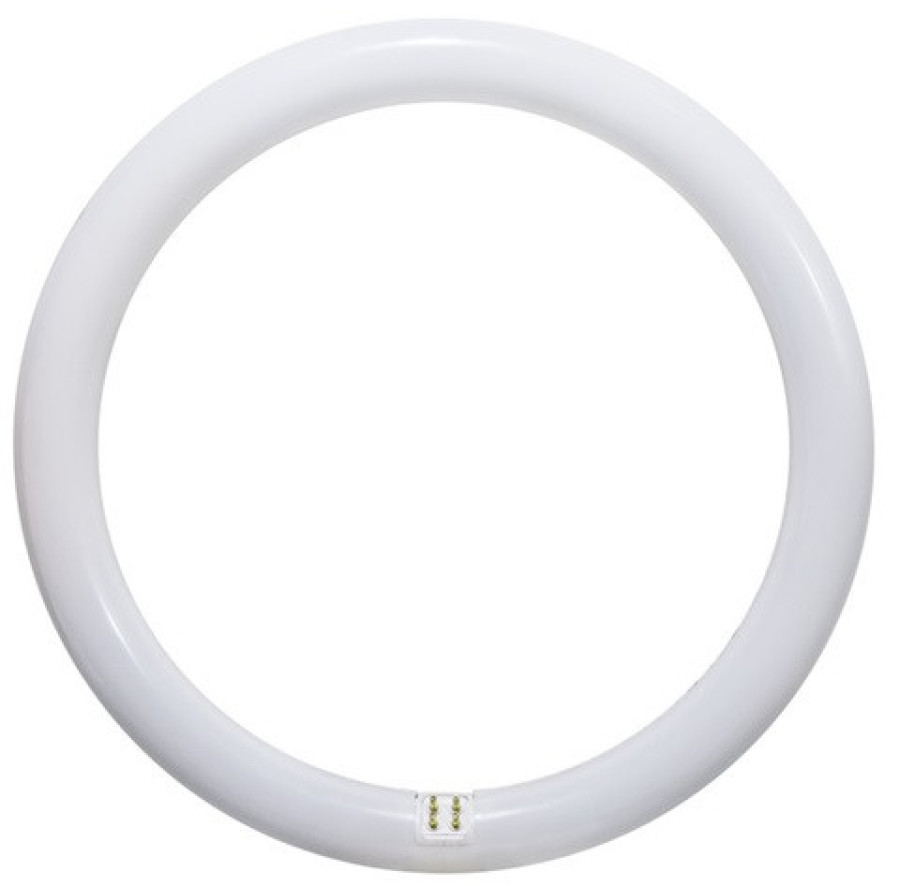 Circolina neon 22W luce 86 6500°K G10Q BTLLR221T