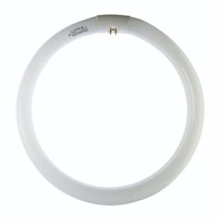 Circolina neon 32W luce 86 6500°K G10Q