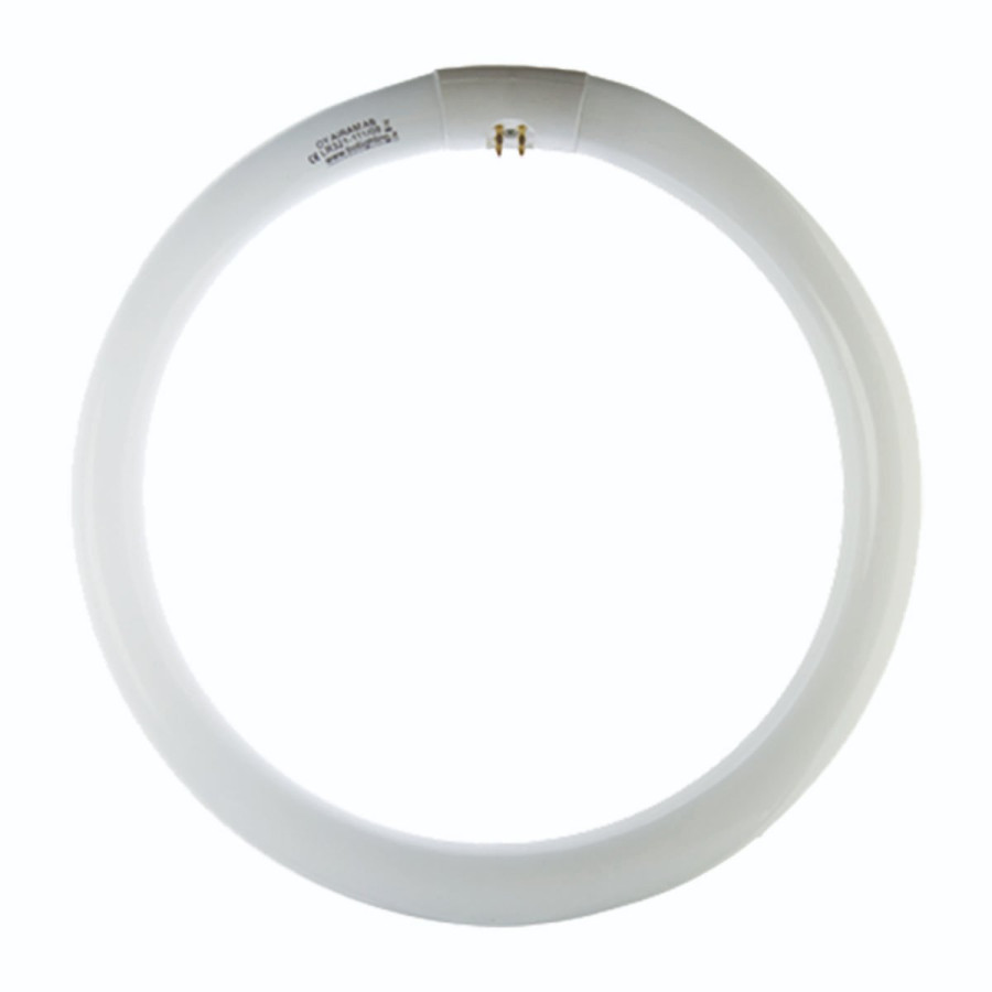 Circolina neon 40W luce 84 4200°K G10Q BTLLR402T