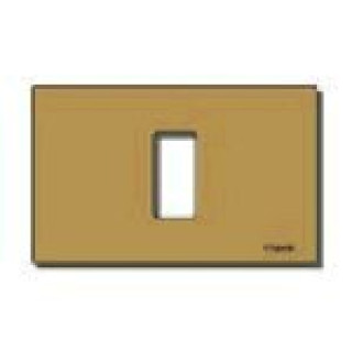 Placca 1M allum. scatto bronzo